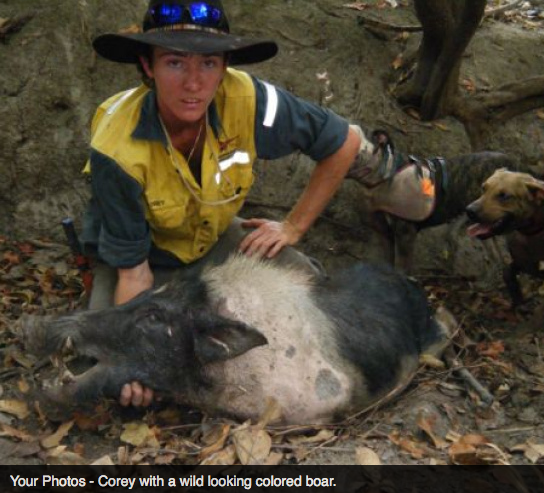 Screen Shot 2013-10-02 at 1.40.11 PM